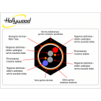 Hollywood PRO 231 - Image 2