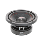 Audio System CO DC 06 EVO